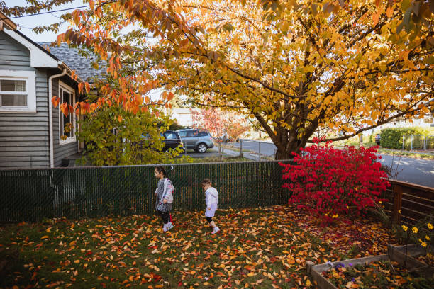 Happy hispanic girls (kindergarten aged) playing in their yard in the fall season. They are playing with toys and exploring their front and back yards as the leafs change colors.