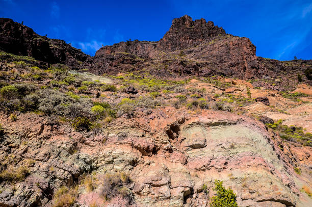 istock A rocky hillside with a mountain in the background 2184807411
