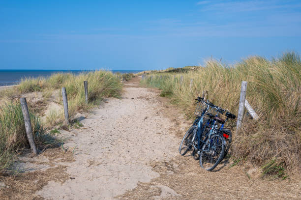 istock Sand dune, beach, footpath and parked bicycles on a coast by the sea 2184811324