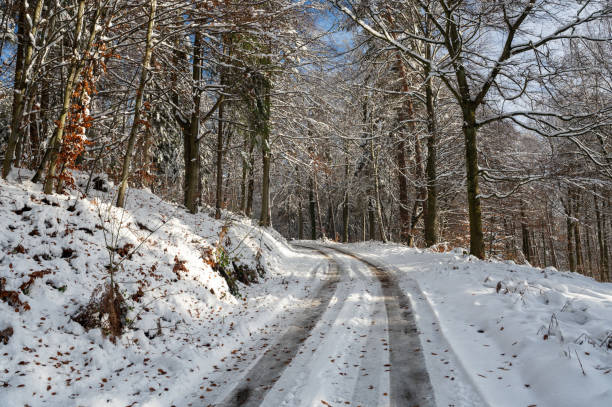 istock Field path in the forest with snow and blue sky 2184811874
