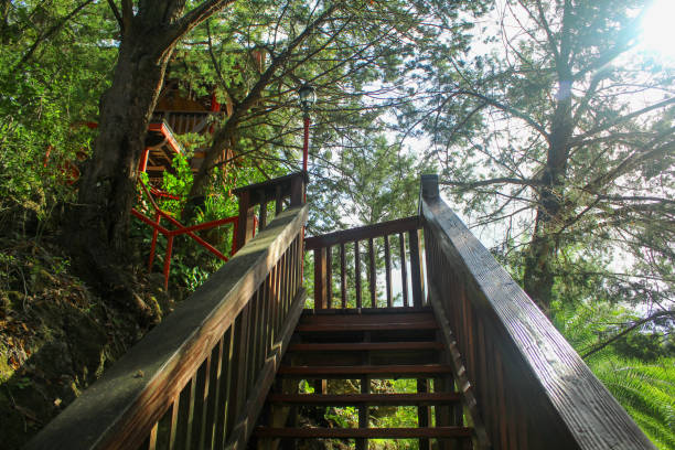 istock Structure Stairs at Cedar Lakes Woods and Gardens in Florida. 2184813551