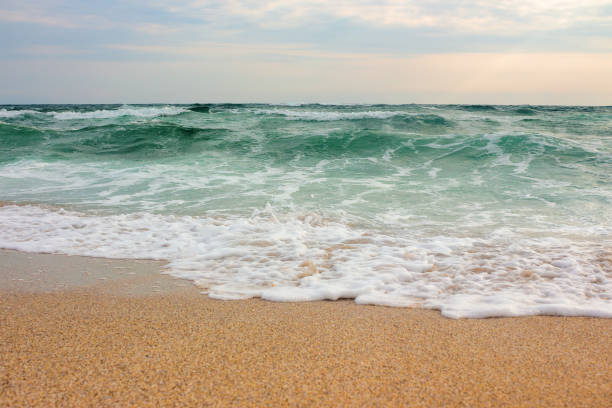 seascape in the morning. summer vacation. stormy weather. green waves crashing on sandy beach. cloudy sky. travel background