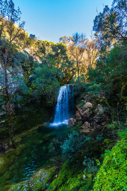istock picturesque waterfall cascading over moss-covered rocks into a serene pool below 2184819341