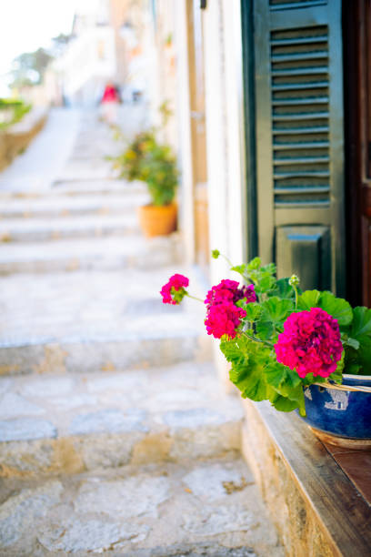 Flower pots in front of the window of a stylish stone tenement house in Spain