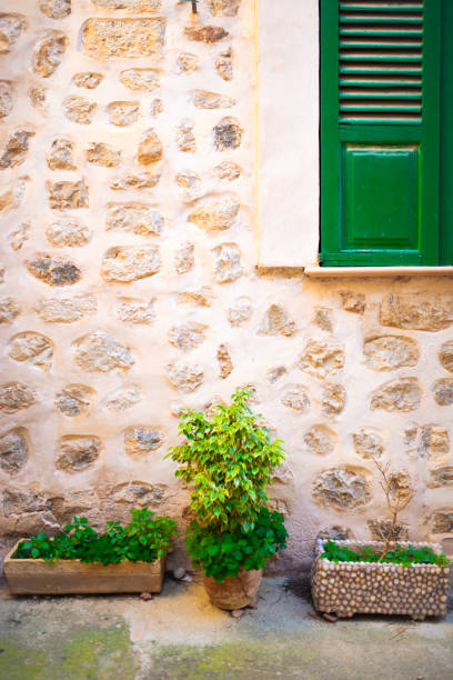 Flower pots in front of the window of a stylish stone tenement house in Spain