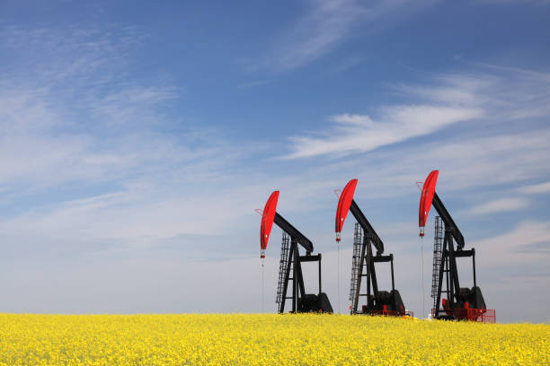 istock Three Oil Pumpjacks in a Yellow Canola Field 2184825451