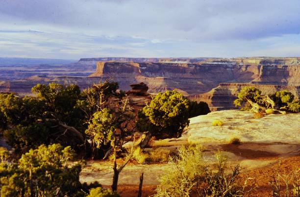istock Needles District Canyonlands National Park Utah July 1983 2184836681
