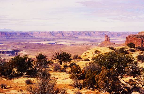 istock Needles District Canyonlands National Park Utah July 1983 2184836684