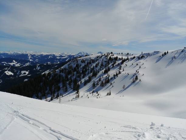 istock Snowy Alpine Slope with Pine Trees Under Winter Sky 2184841155