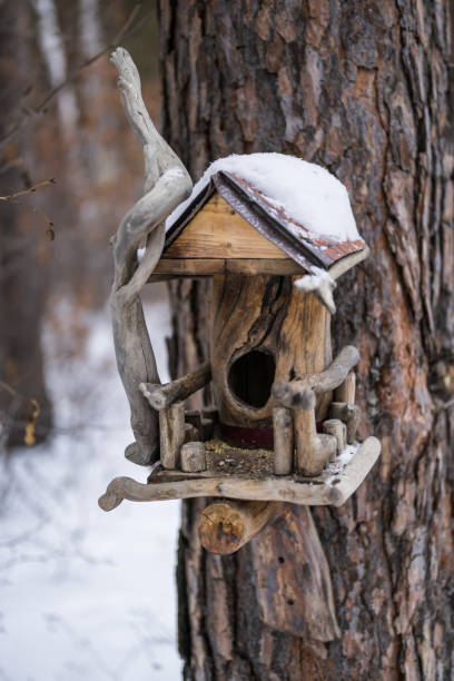 istock Wooden bird feeder on the tree 2184845201