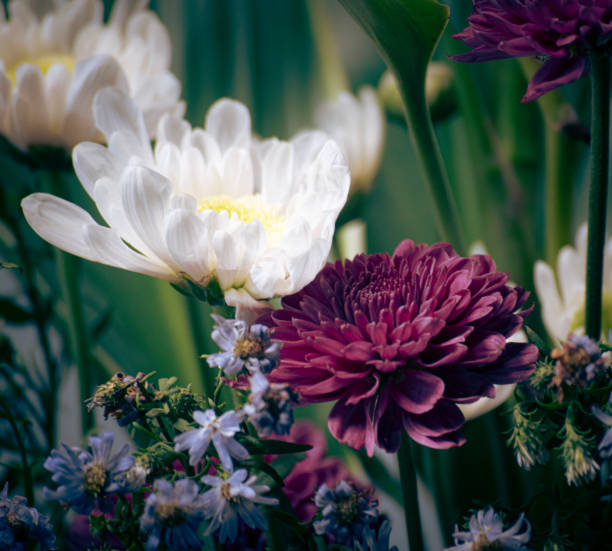 Close up shot of a small bouquet of flowers,