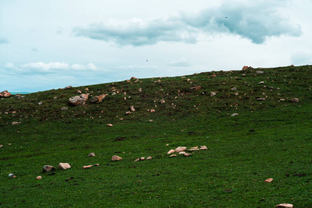 Nalati Scenic Spot