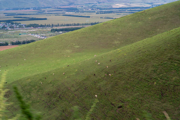istock Nalati Scenic Spot 2184852943