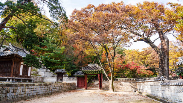 istock Beautiful red leaves in autumn 2184853182