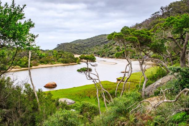 Australian Landscape