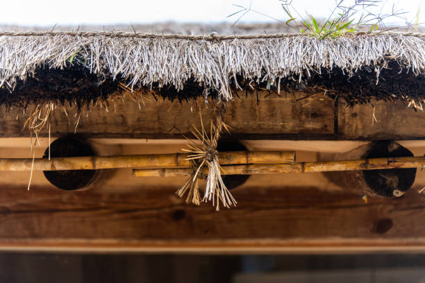 Korean rural architecture
