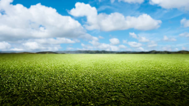 istock Meadow field with mountain range with blue sky and clouds in the background 2184854681