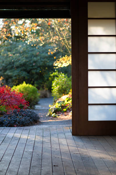 istock November Morning Sunlights on the Garden 2184868562