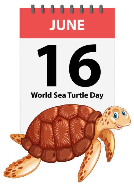 istock Illustration of a turtle with a calendar date 2184874349