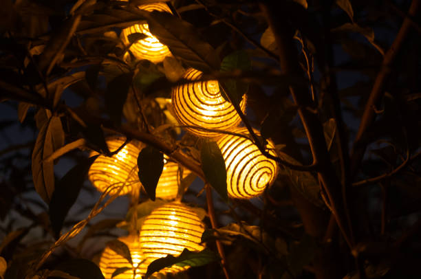 istock Lampion in the garden 2184875160