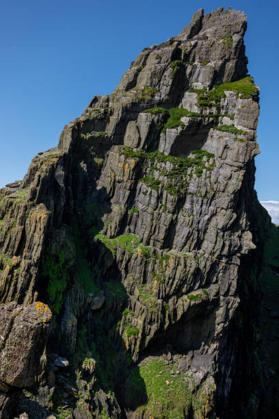 istock Vegetation of  Skellig Michael 4 2184883734