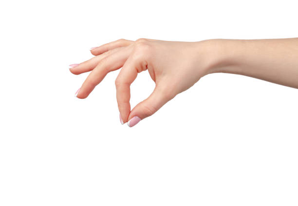 istock Female hand holding something isolated on white background 2184886819