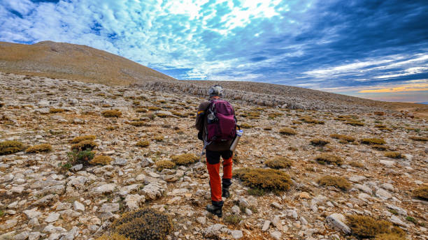A 64-year-old hiker, equipped with a sturdy backpack, trekking poles, and proper gear, navigates through the rugged terrain of a high-altitude trail. The overcast sky, filled with soft clouds, adds a dramatic backdrop to the scene, highlighting the challenge and beauty of the environment.\n\nThe hiker, dressed in weather-appropriate clothing, exudes determination and experience as he makes his way along the rocky path. His steady steps and confident posture reflect his familiarity with the demands of mountain trekking.\n\nThis setting showcases the spirit of adventure and endurance amidst the raw and untamed beauty of nature at high elevations.