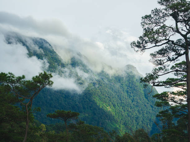 istock Misty rainforest mountains in Phu Soi Dao National Park, Thailand 2184891193