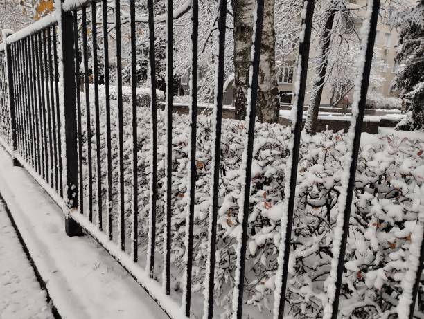 istock metal fence fencing 2184893819