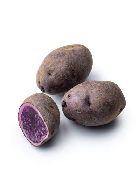 istock Vitelotte potato, isolated on white. 2184899256