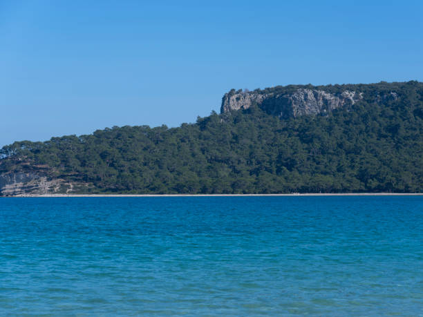 istock beautiful sea and forest 2184905038