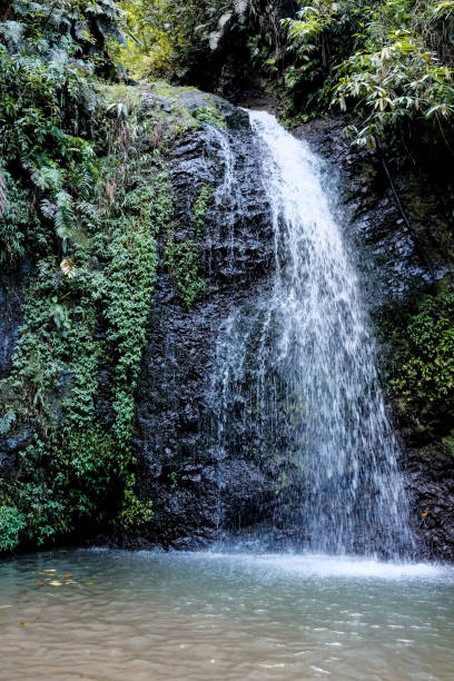 istock Serene Natural Waterfall in Lush Green Forest Setting 2184905117