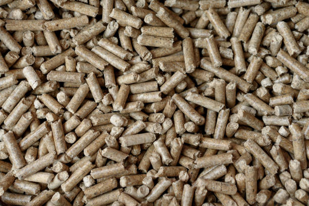 istock wooden pellets, fuel for fire, cat litter 2184907752