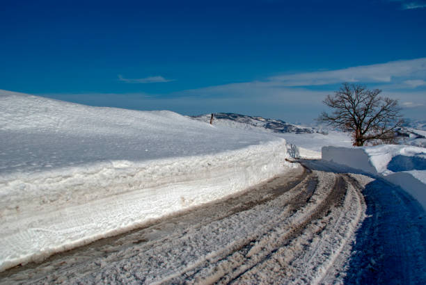 Icy road amidst deep snow and a tree against clear sky