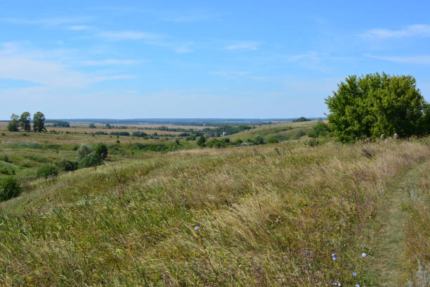 a field with a view of the horizon and a tree with blue sky