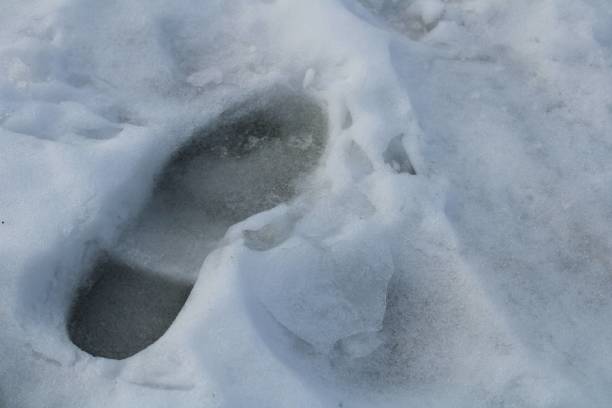 istock Footprint in the snow 2184910239
