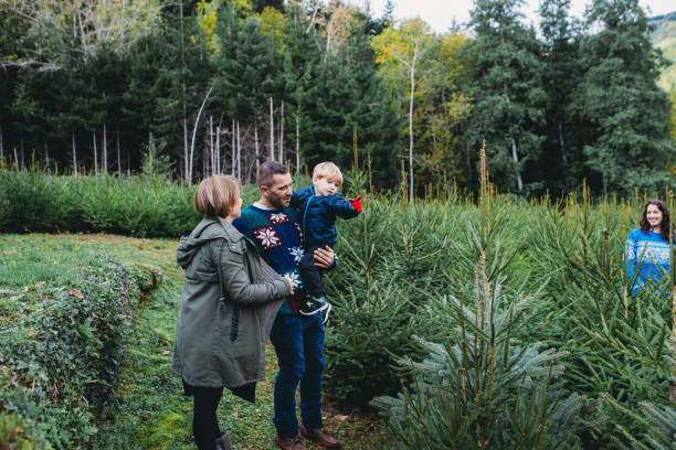 istock Family choosing a christmas tree at a christmas tree farm 2184915321