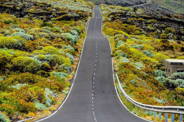 istock A long road with a lot of greenery on either side 2184916373