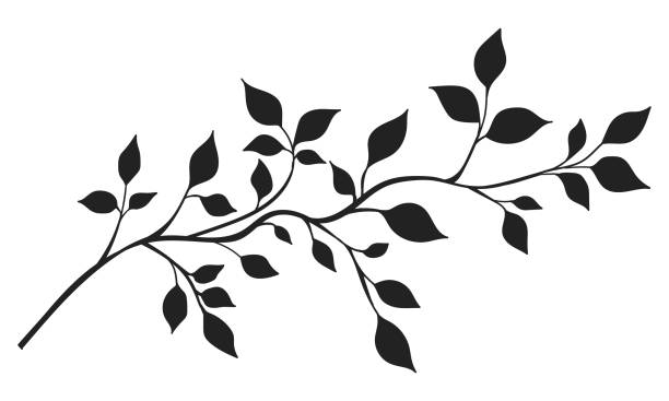 stockillustraties, clipart, cartoons en iconen met branch with leaves. isolated black silhouette. vector decoration element. - tak plantdeel