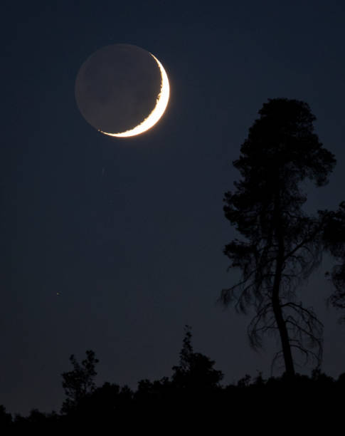 istock Crescent moon above silhouette of trees in night sky 2184923525