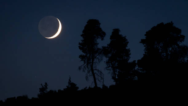 istock Crescent moon above silhouette of trees in night sky 2184923585