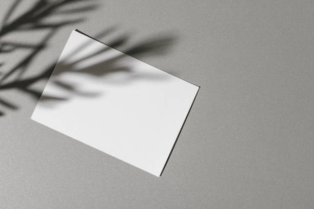 istock Business card on paper background with foliage shadow 2184928029
