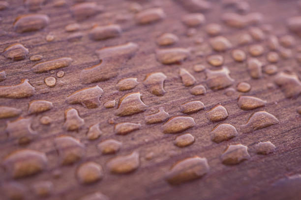 raindrops on the wooden surface, pink background, rainy days