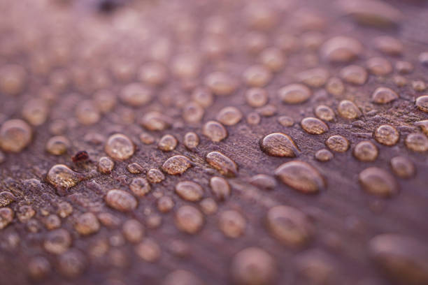 raindrops on the wooden surface, pink background, rainy days