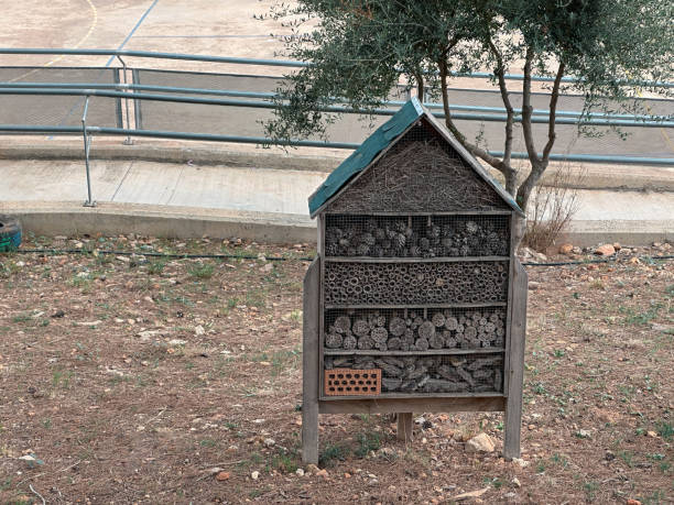 Homemade insect hotel in the school yard