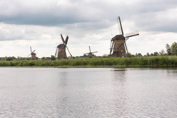 Group of historic windmills in Kinderdijk in Netherlands on a cloudy day. Reed grass lines the shore.