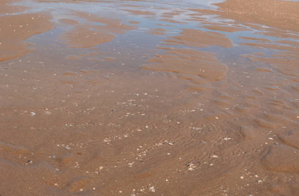 istock Sand and water on the beach. 2184929785