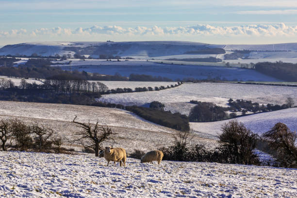 Snow on Ditchling Beacon in Sussex, on a December day
