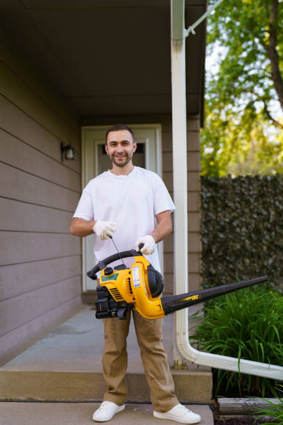 istock Gardener man clearing up the leaves using a leaf blower tool 2184933450