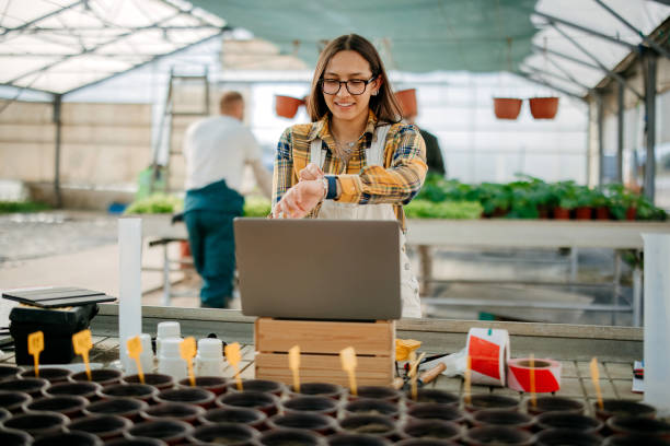 istock Woman working on a laptop 2184933919